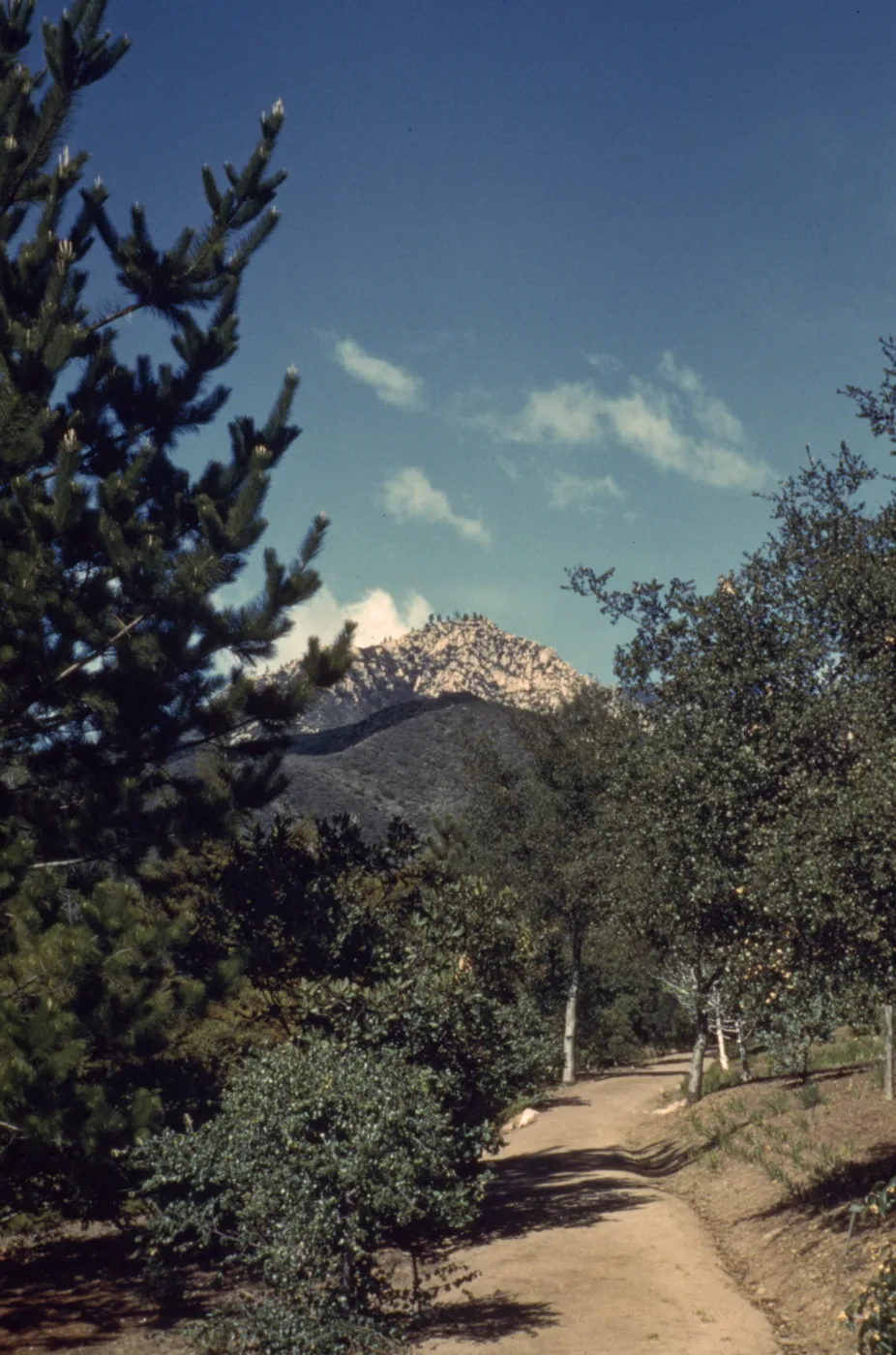 Old Foothill Section looking north to mountain