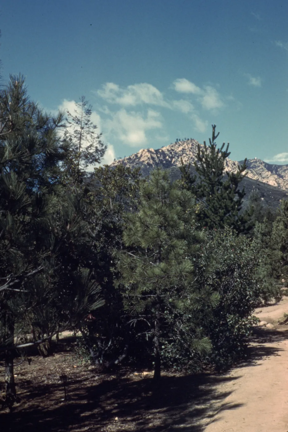 Old Foothill Section looking north to mountain