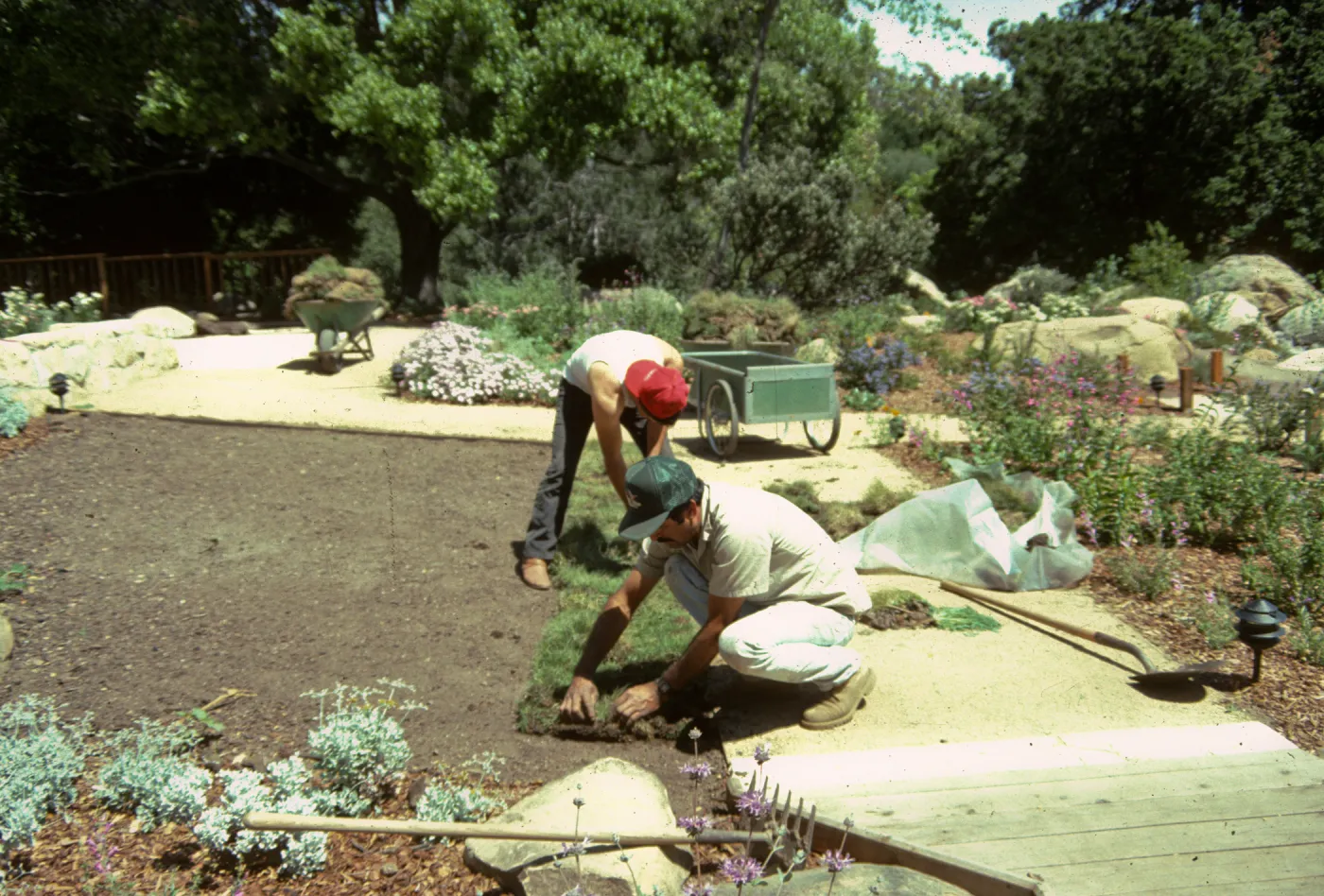 SBBG Home Demonstration Garden construction