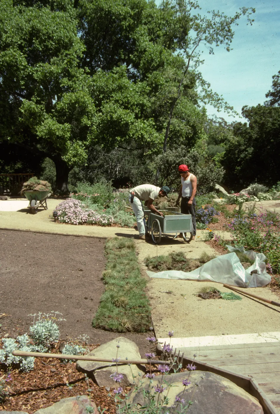 SBBG Home Demonstration Garden construction