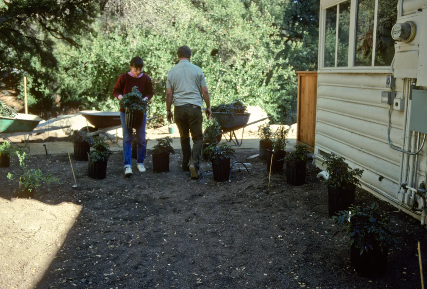 SBBG Home Demonstration Garden construction