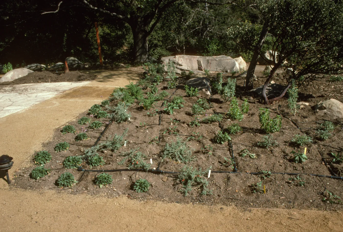 SBBG Home Demonstration Garden construction