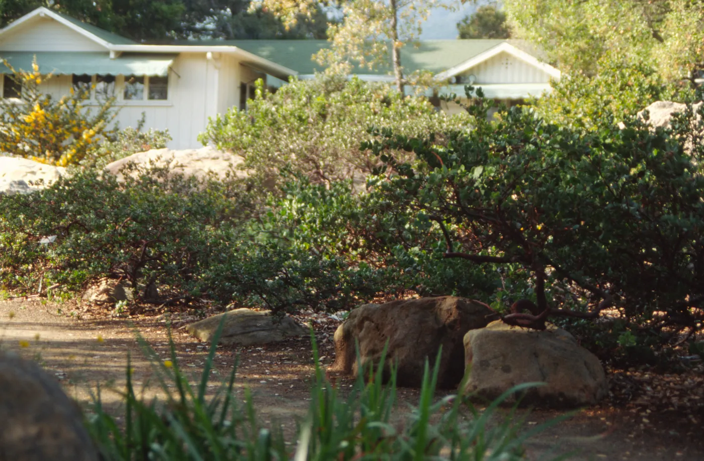 Home Demonstration Garden Construction (Manzanita)