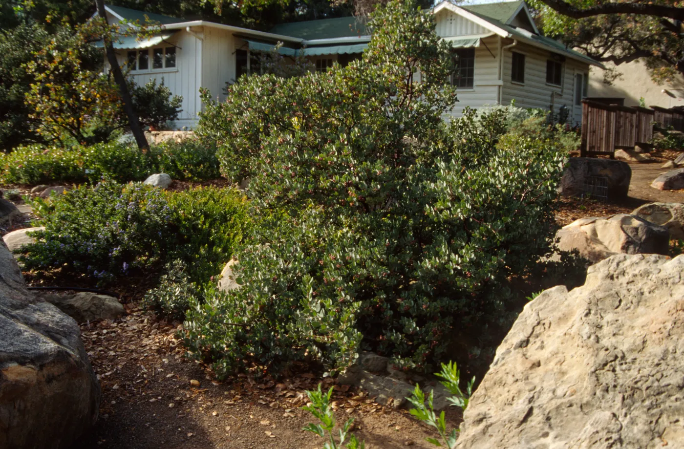 Home Demonstration Garden Construction (Manzanita) 