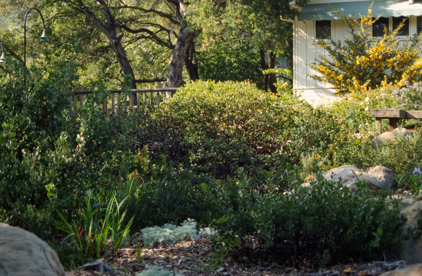 Home Demonstration Garden Construction (Manzanita)