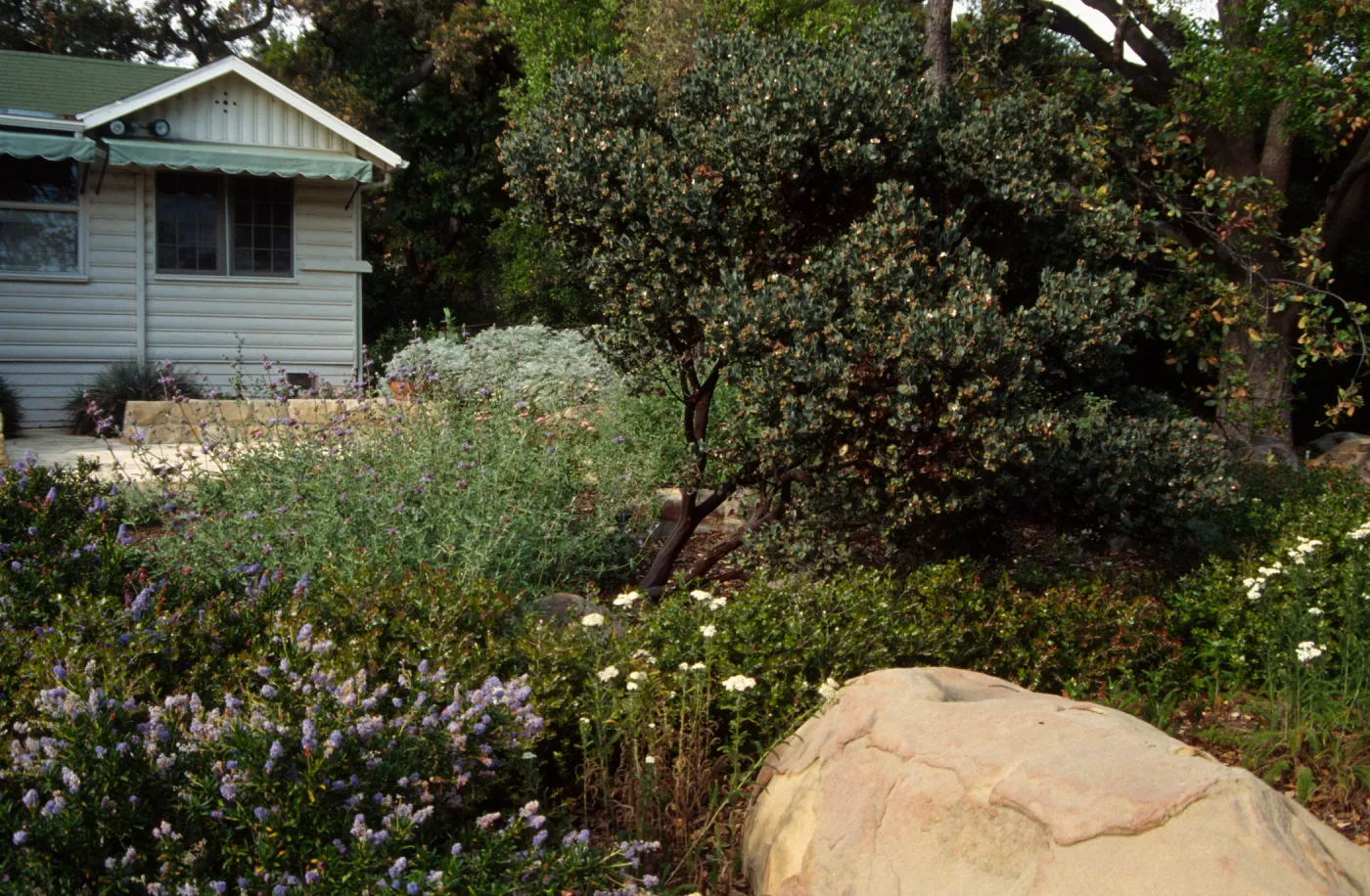 Home Demonstration Garden Construction (Manzanita)