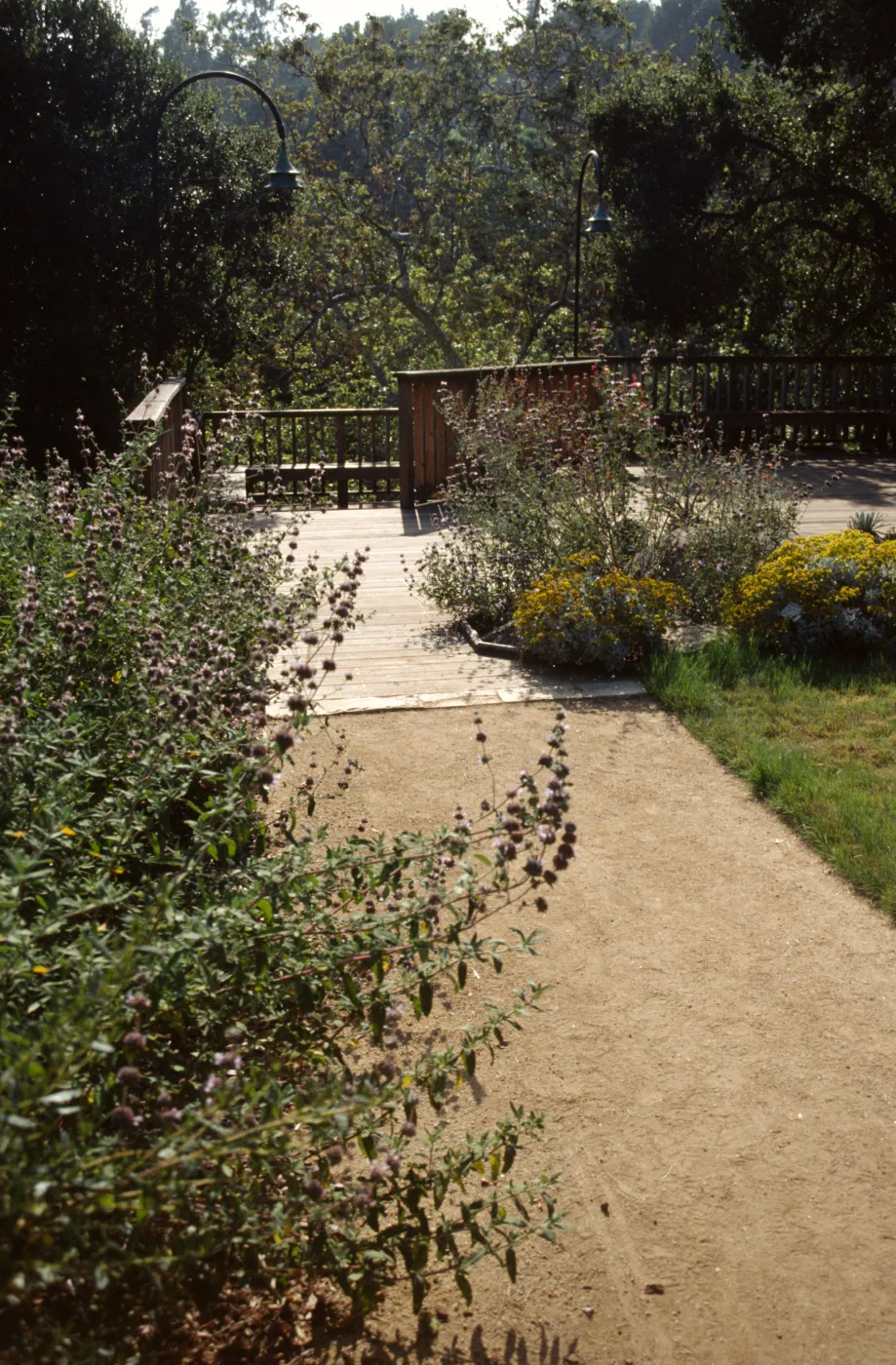 Home Demonstration Garden 