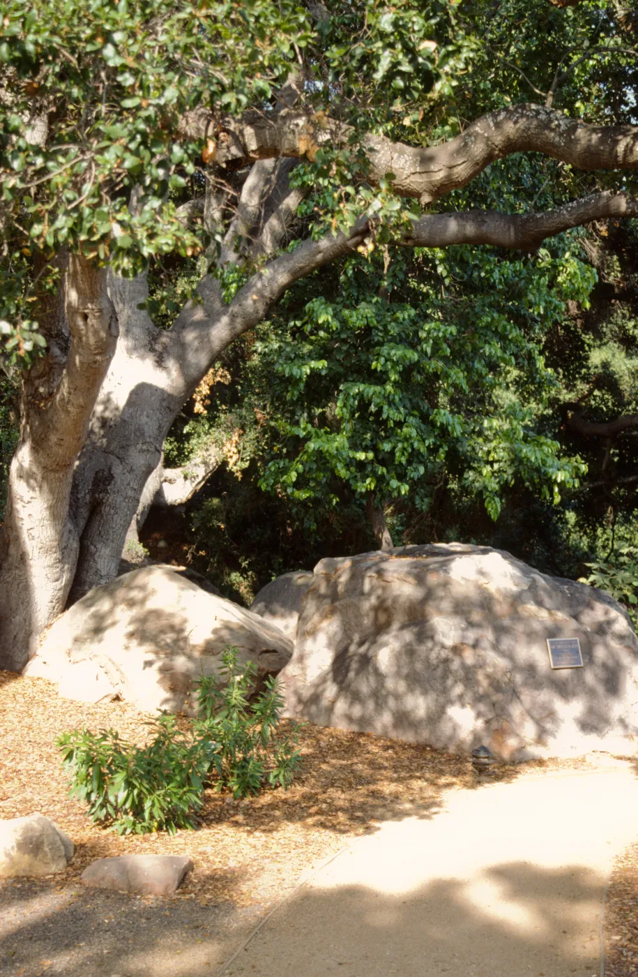 Home Demonstration Garden 