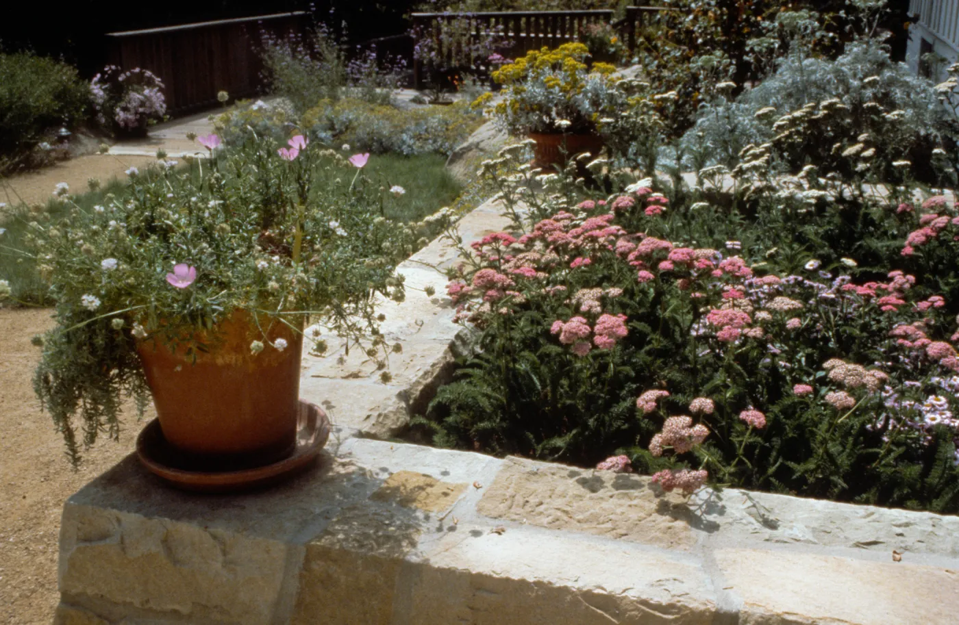 Home Demonstration Garden 