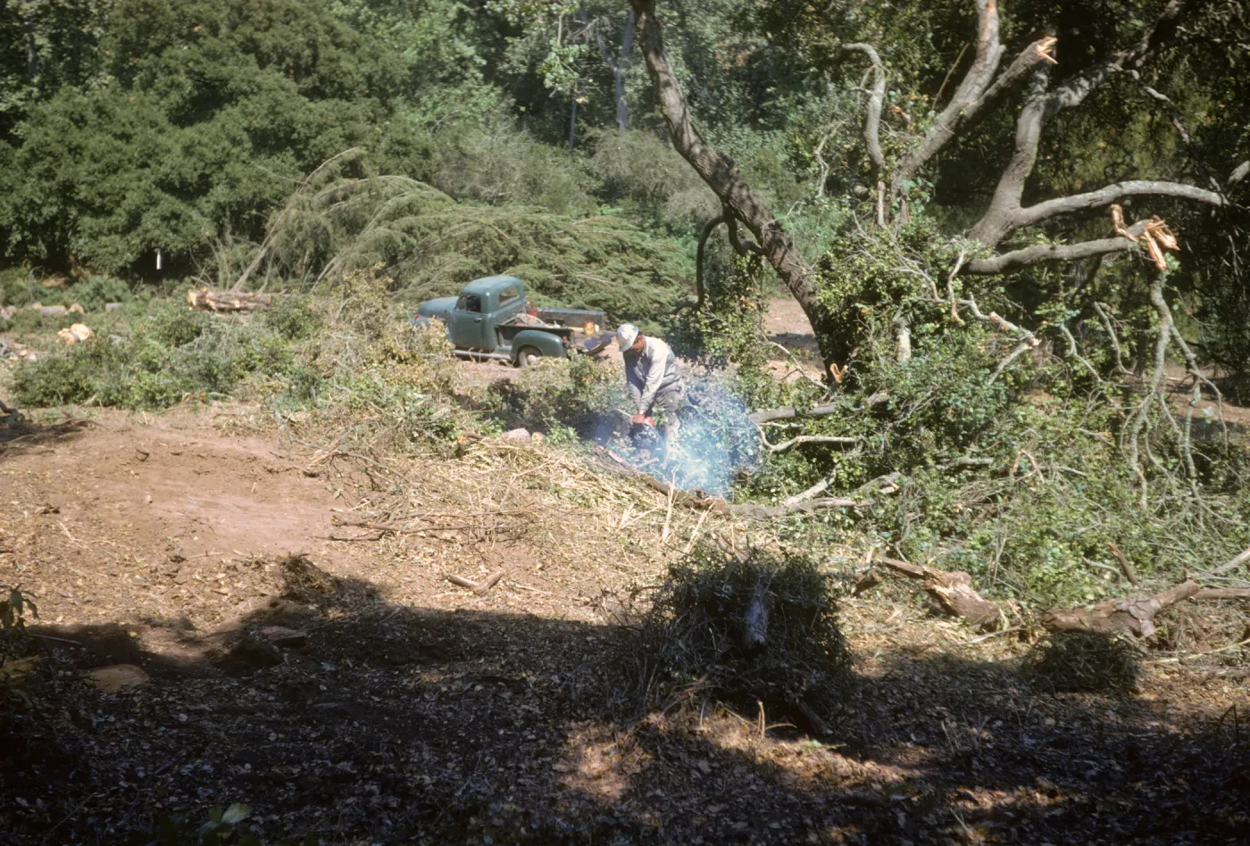 Clearing new Island Section