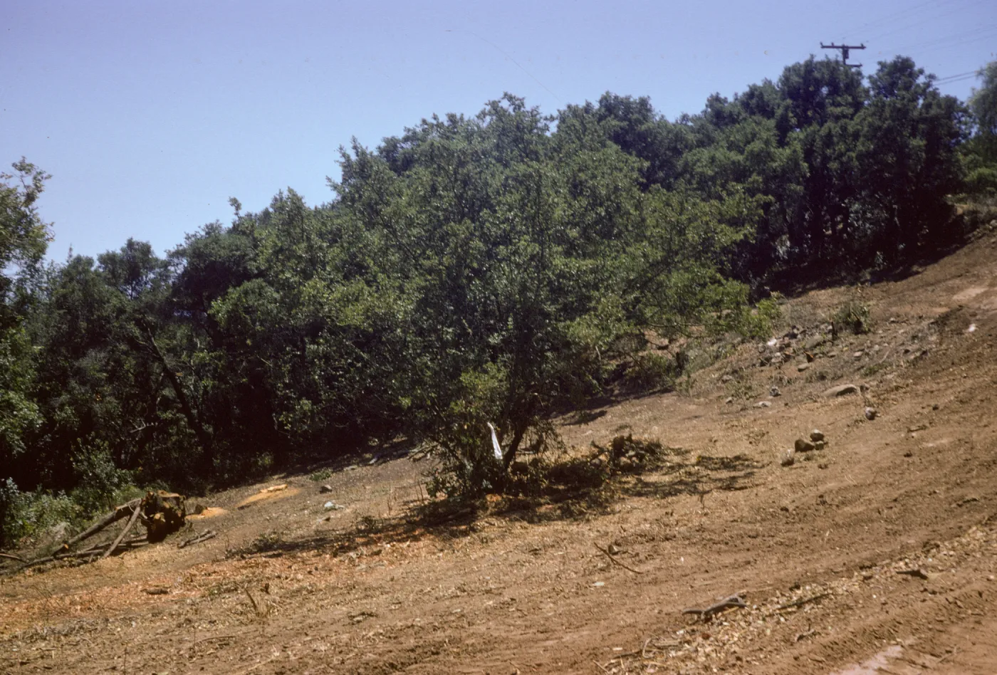 clearing the new Island Section