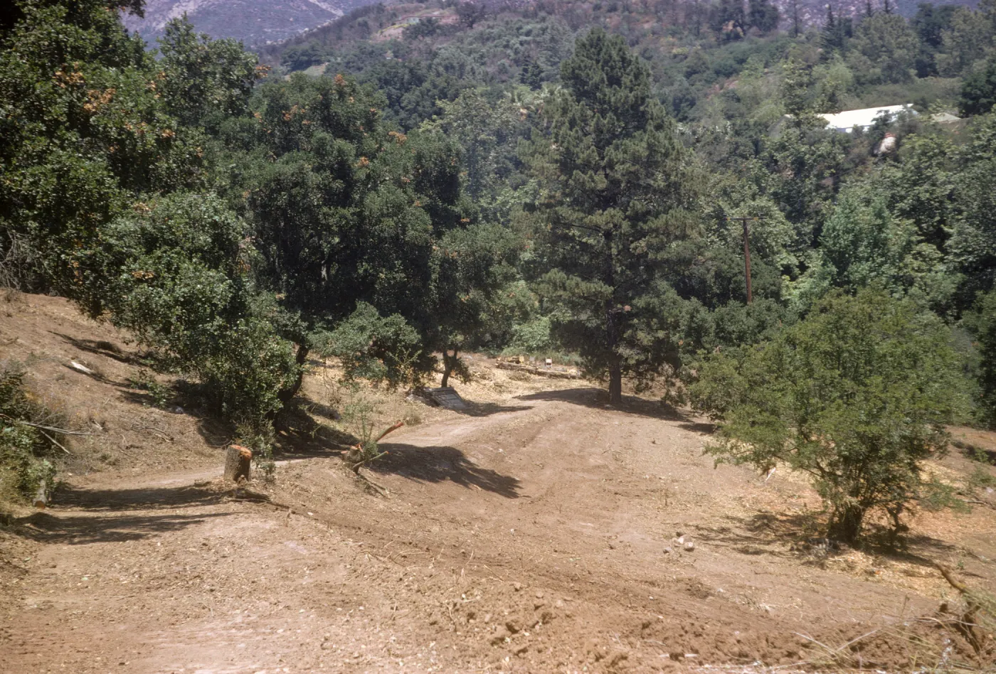 clearing the new Island Section