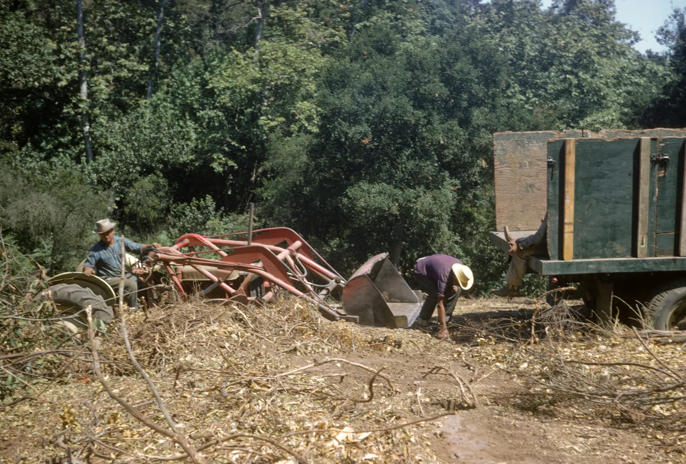 Clearing the new Island Section