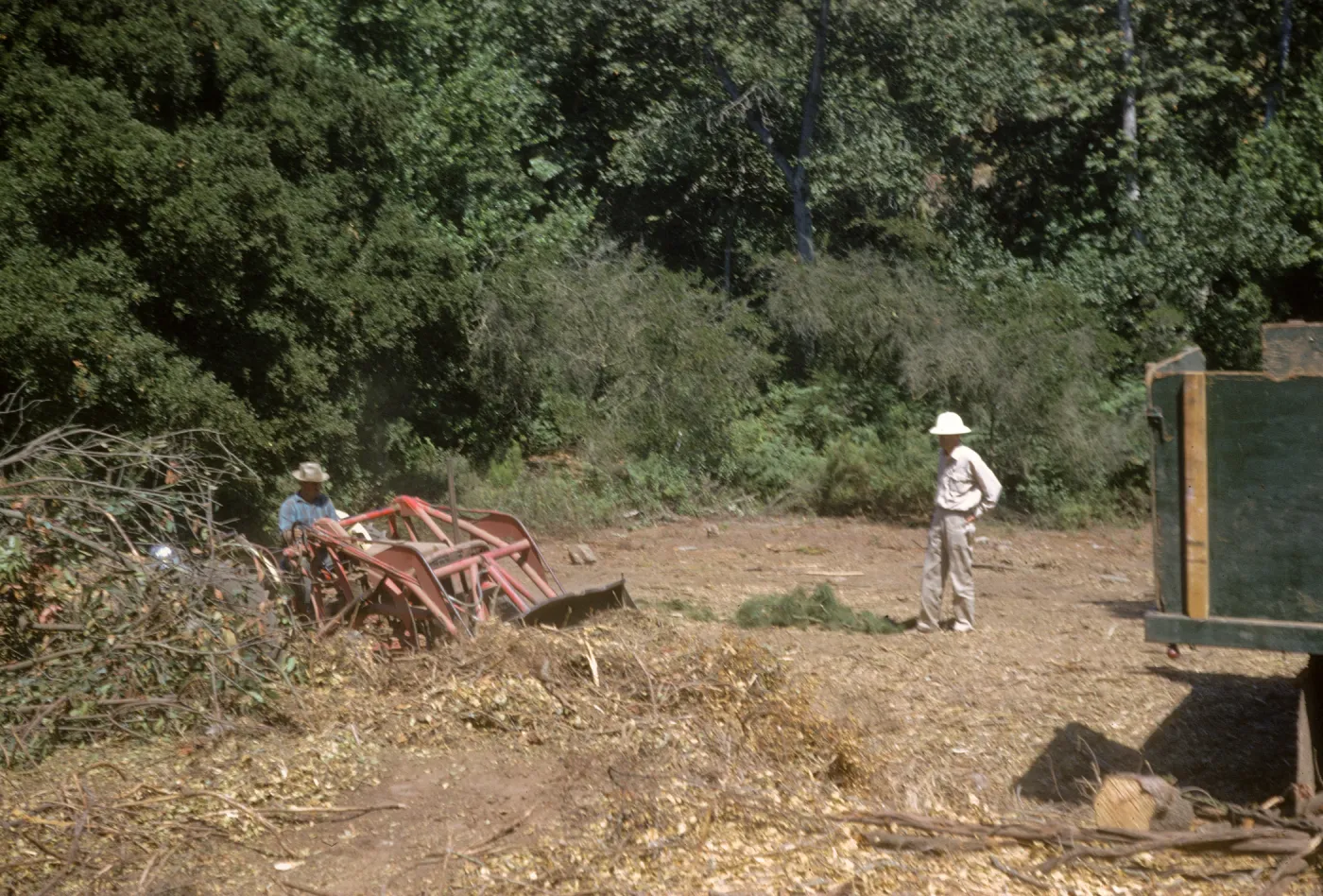 Clearing the new Island Section