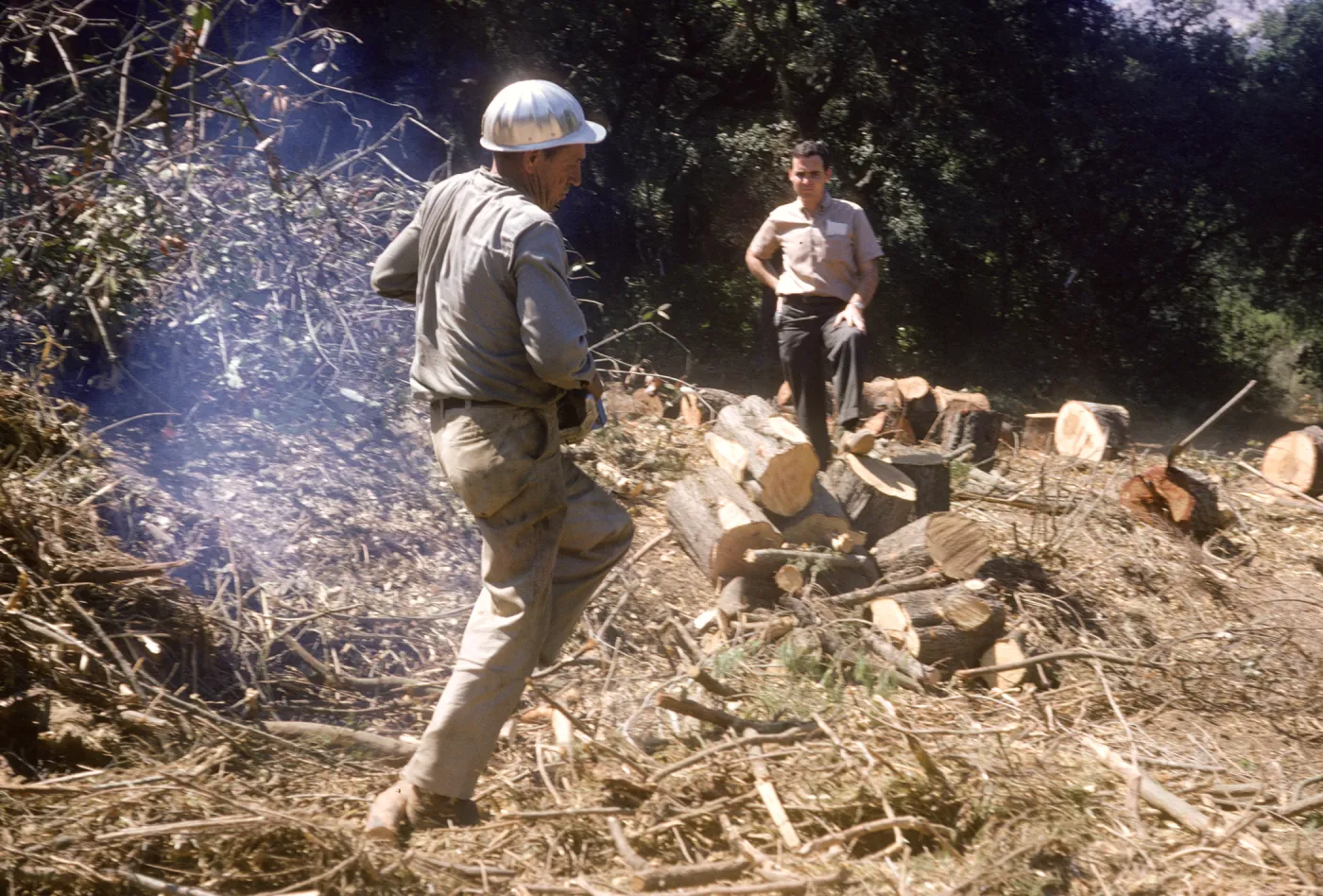 Clearing the new Island Section