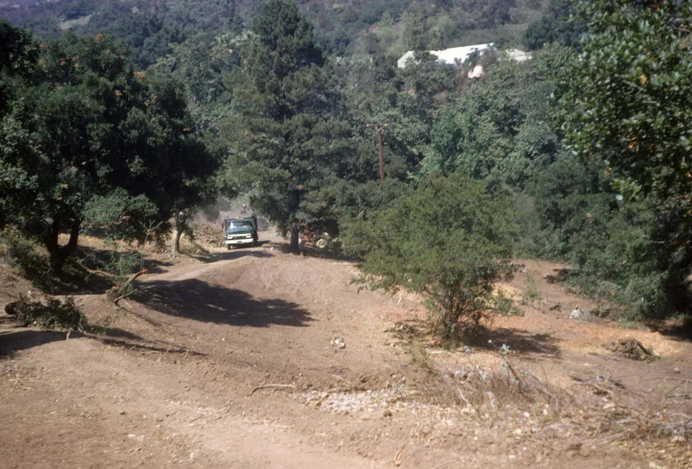 Clearing the new Island Section