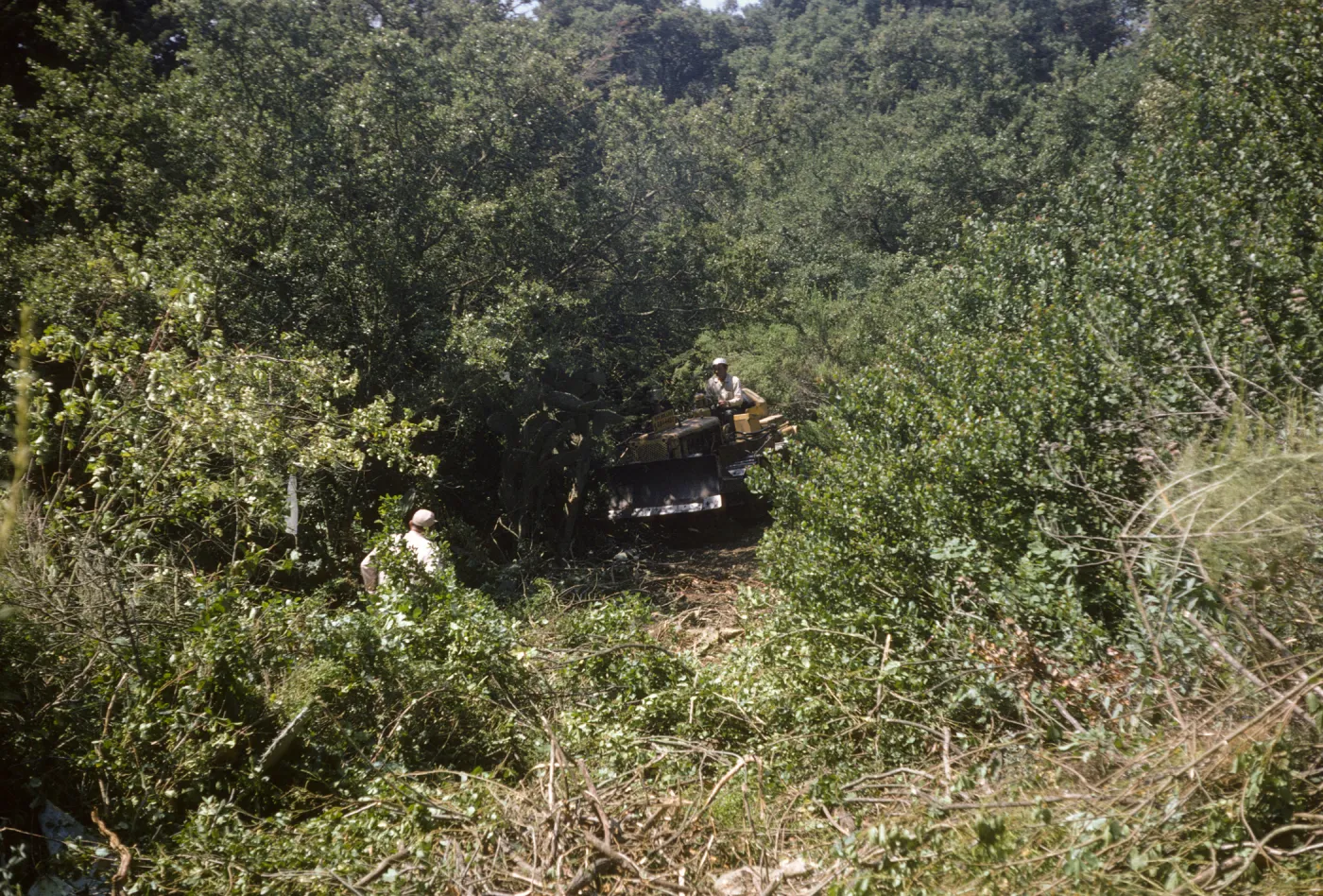 New Island Section