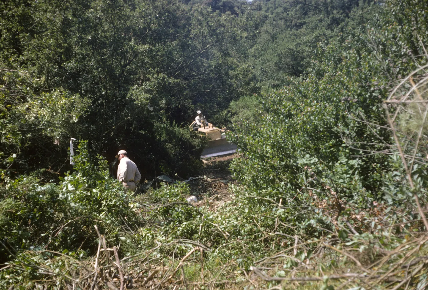 New Island Section