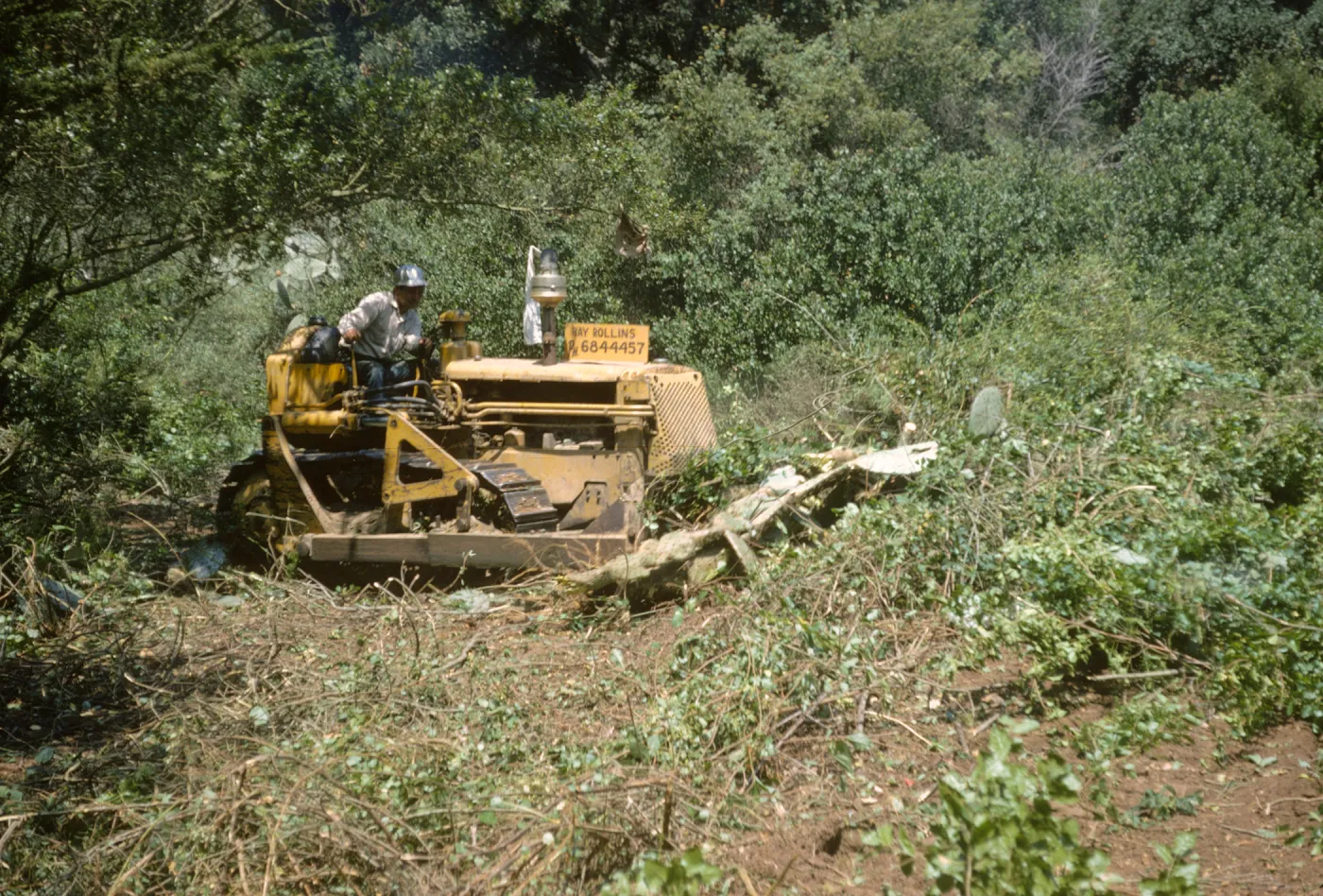 Clearing the new Island Section