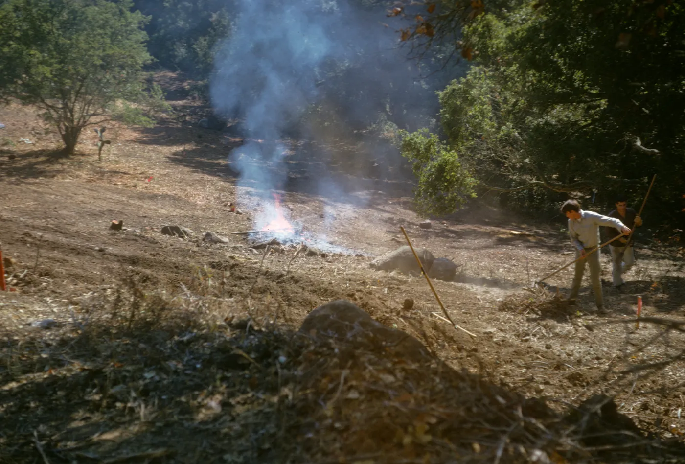 Island Section, final cleanup
