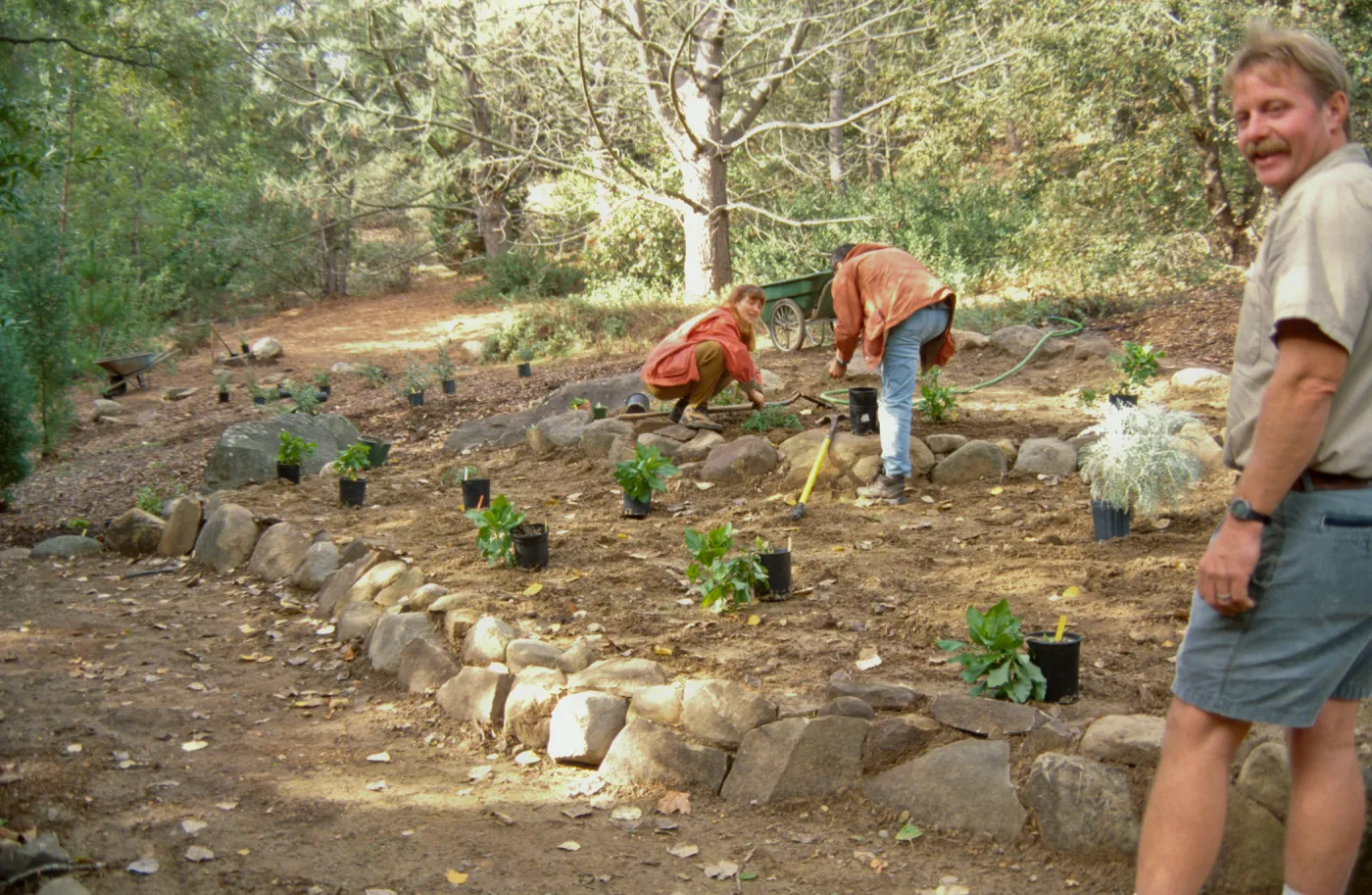 Island Rare Plant Display planting