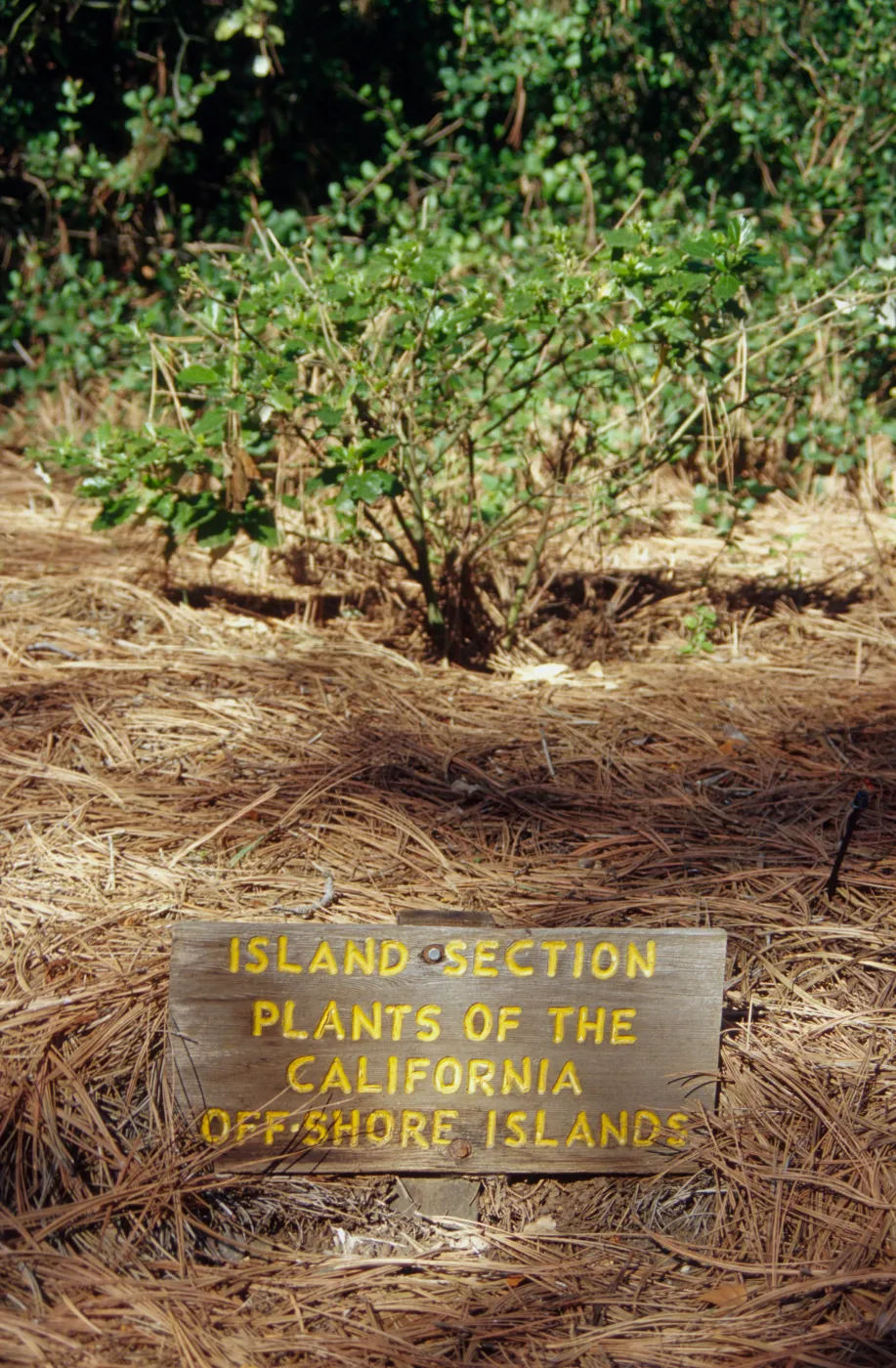 Signage for Island Section