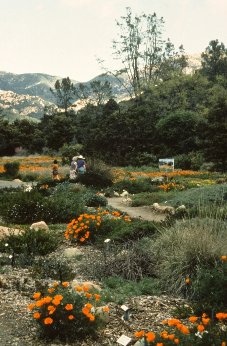 visitors and painting easel in the Meadow