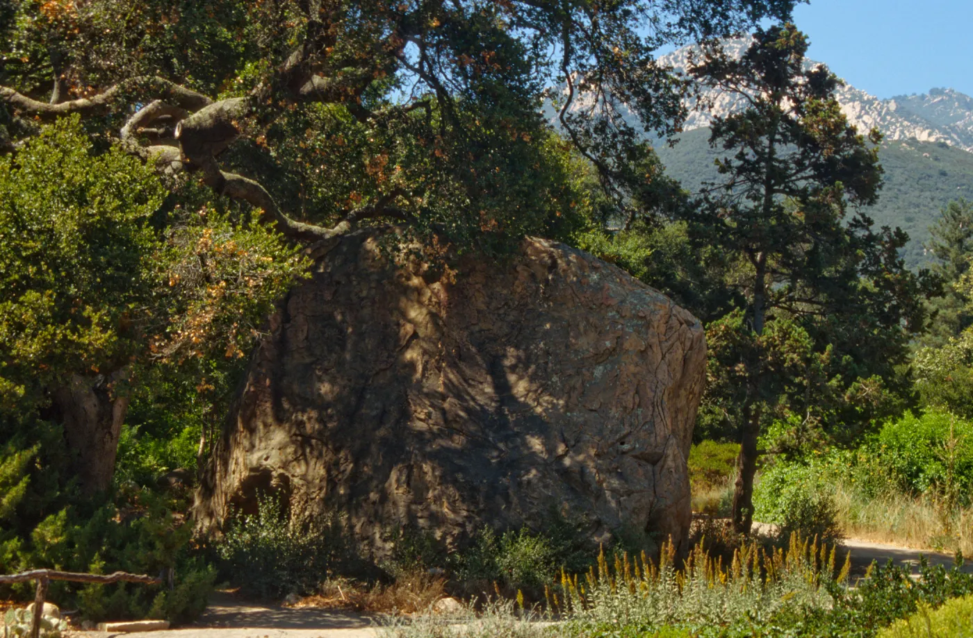 Blaksley Boulder