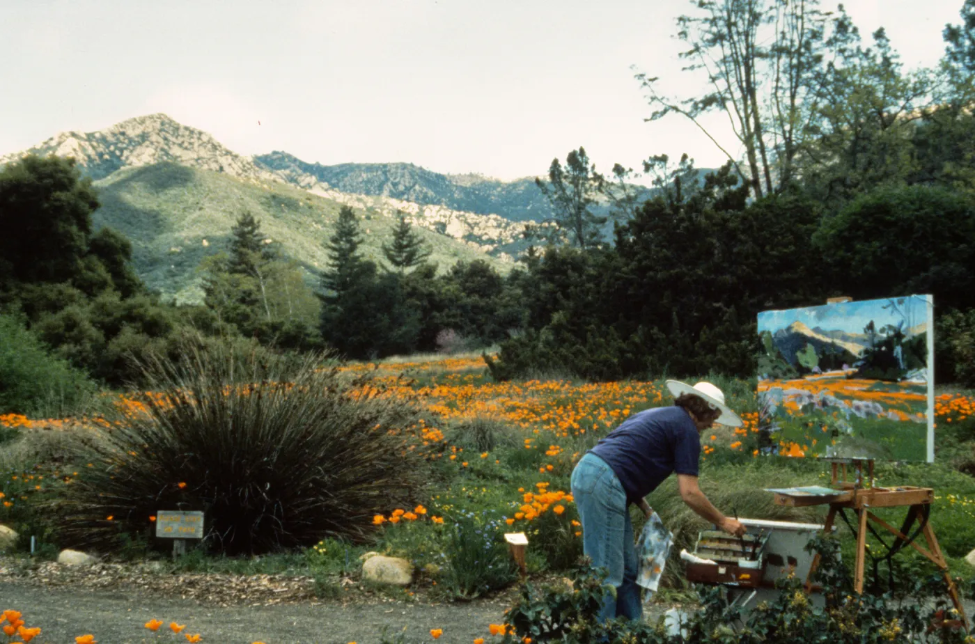 artist painting in the Meadow