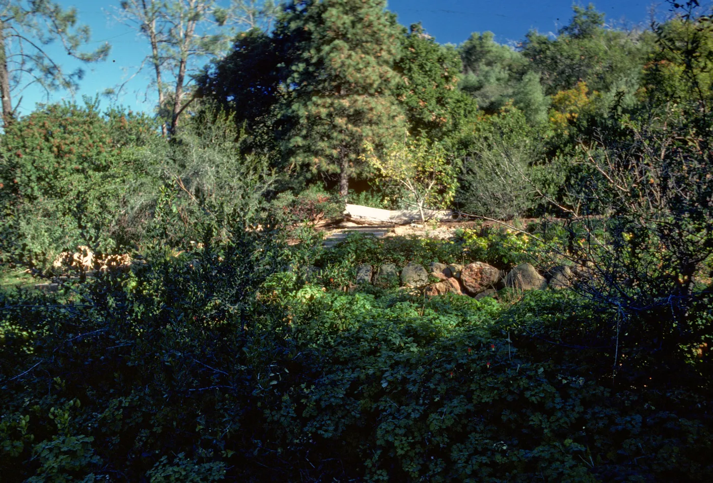 Meadow View, Conn Garden