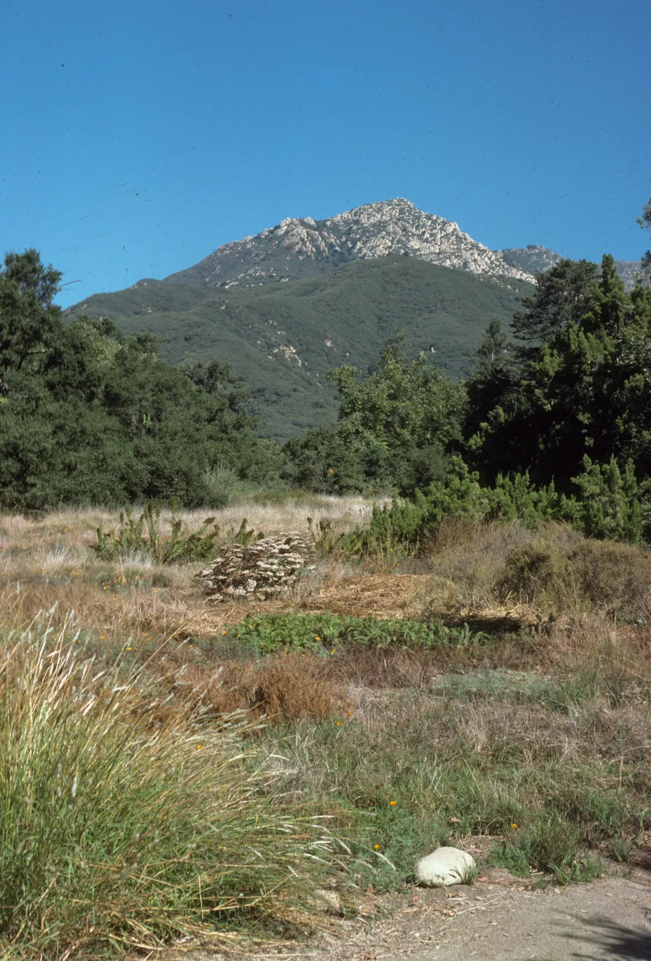 Meadow, with view of La Cumbre Peak