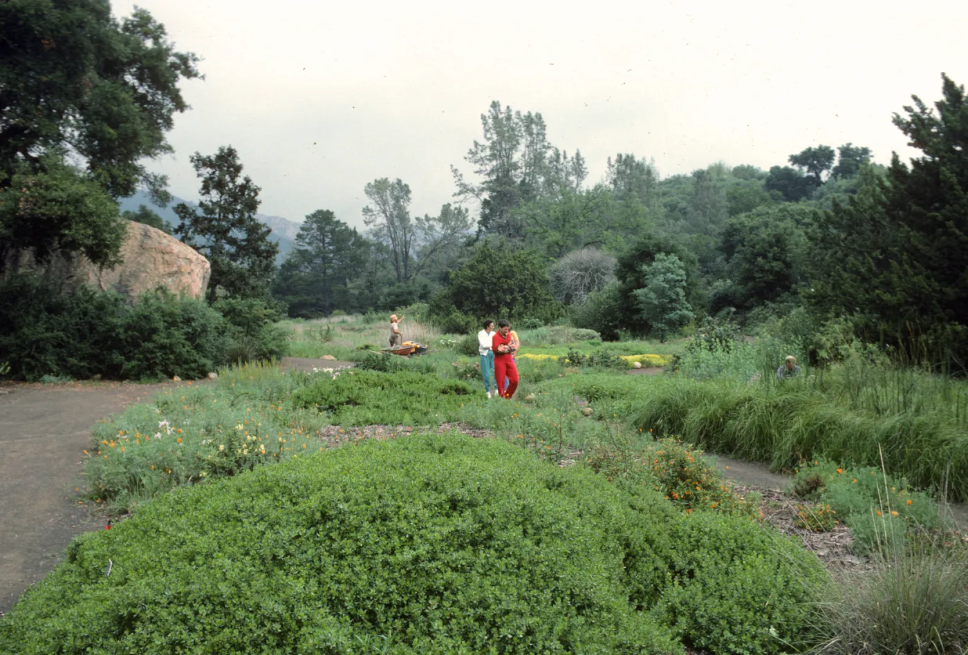 lower Meadow with visitors