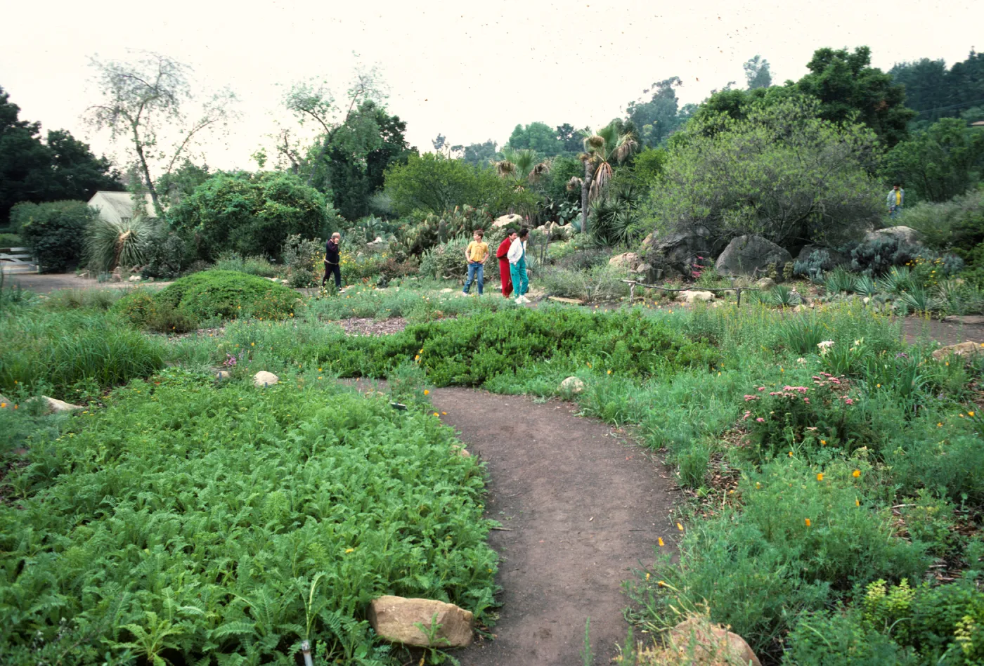 visitors along the lower Meadowpath, looking south to Desert Section 