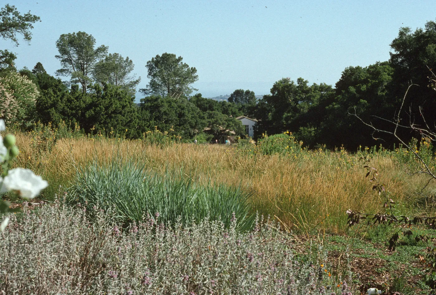 top of Meadow, looking south to the Blaksley Library