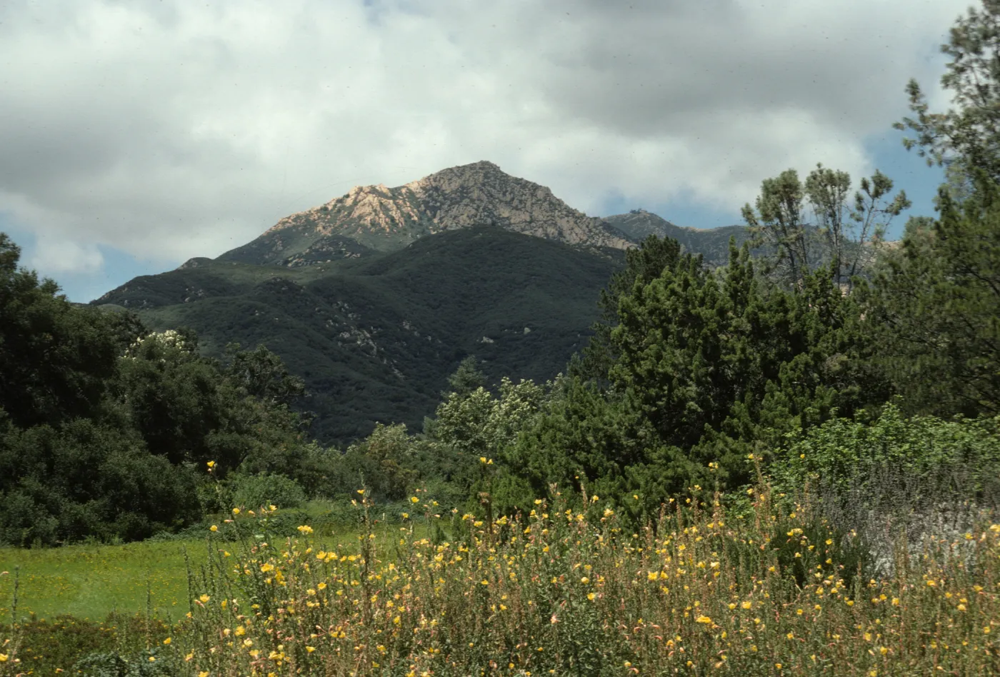 Meadow, La Cumbre Peak 