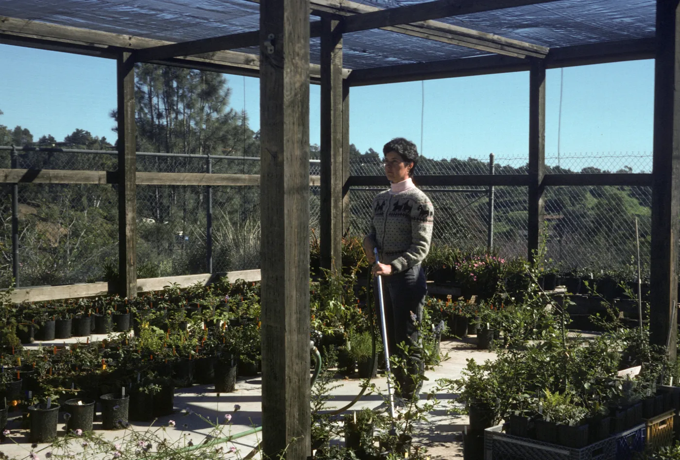 Caroline Cooper watering at the Horticulture Unit