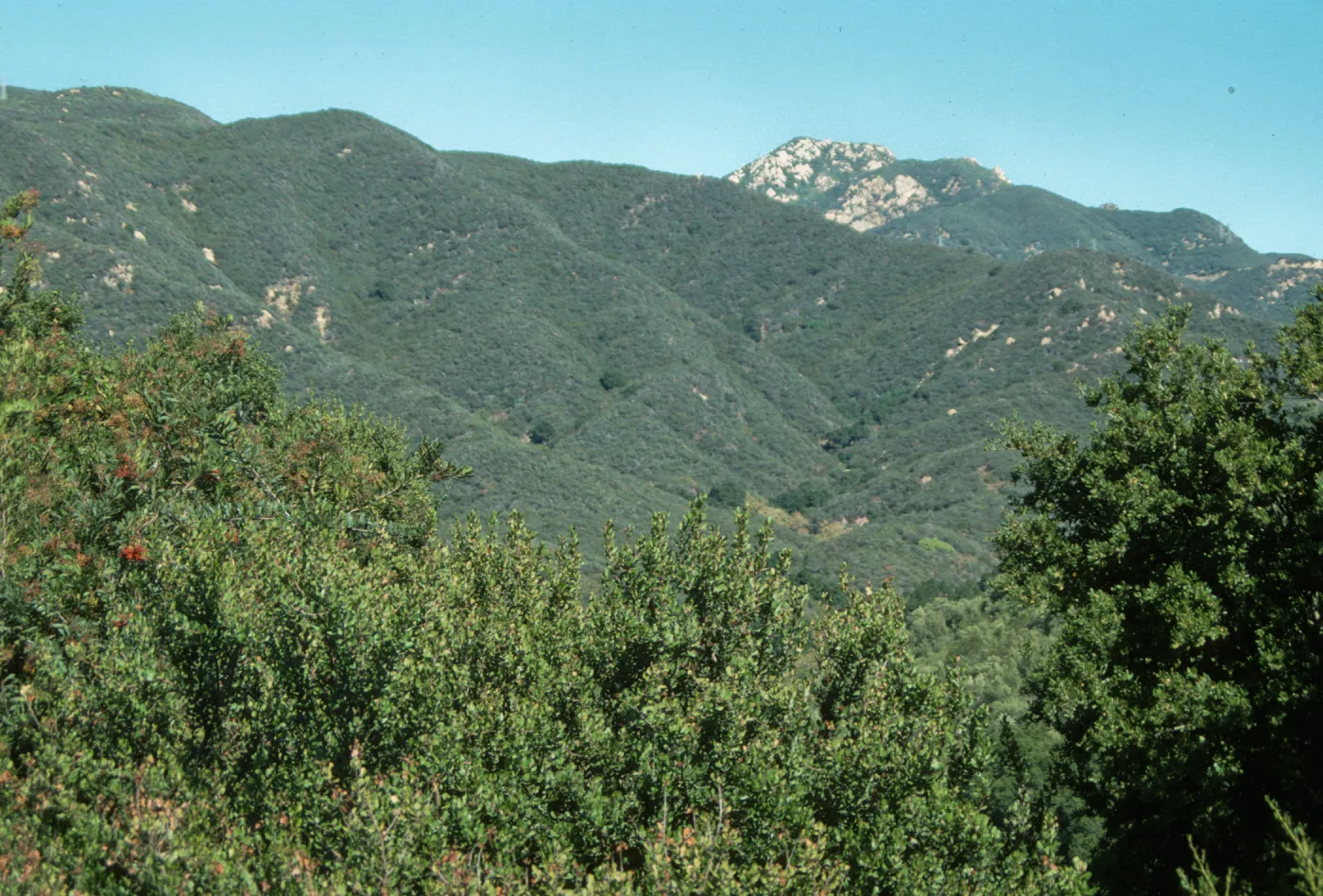 View North from Porter Trail