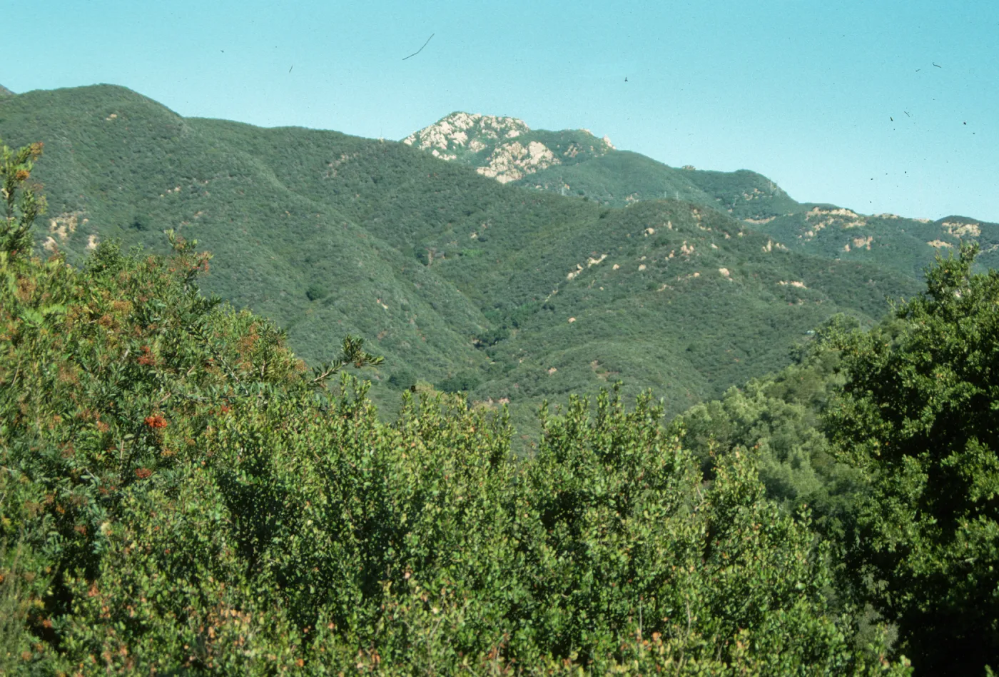View North from Porter Trail