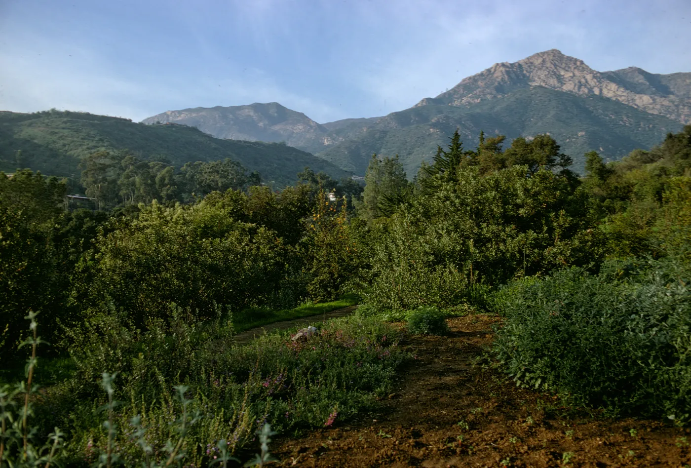 Mountains from Porter Trail