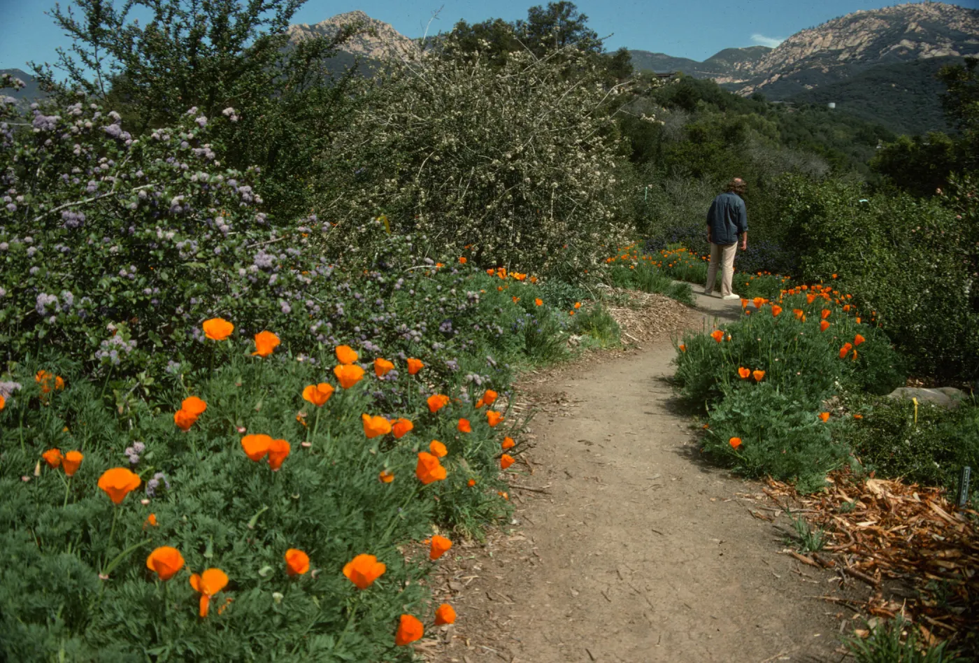 Porter Trail