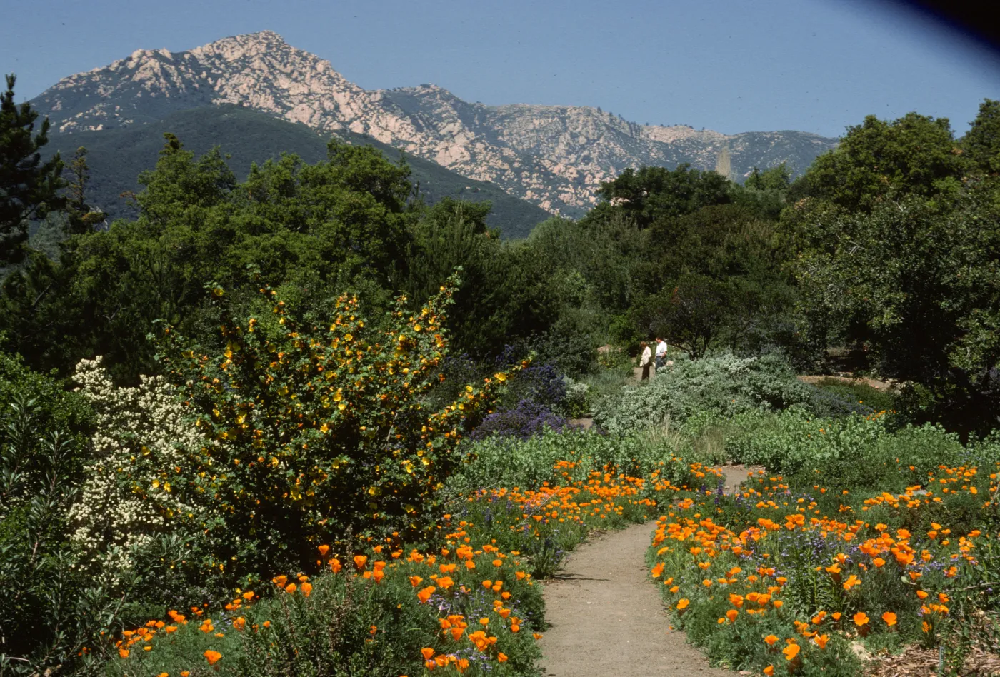 Porter Trail in Bloom
