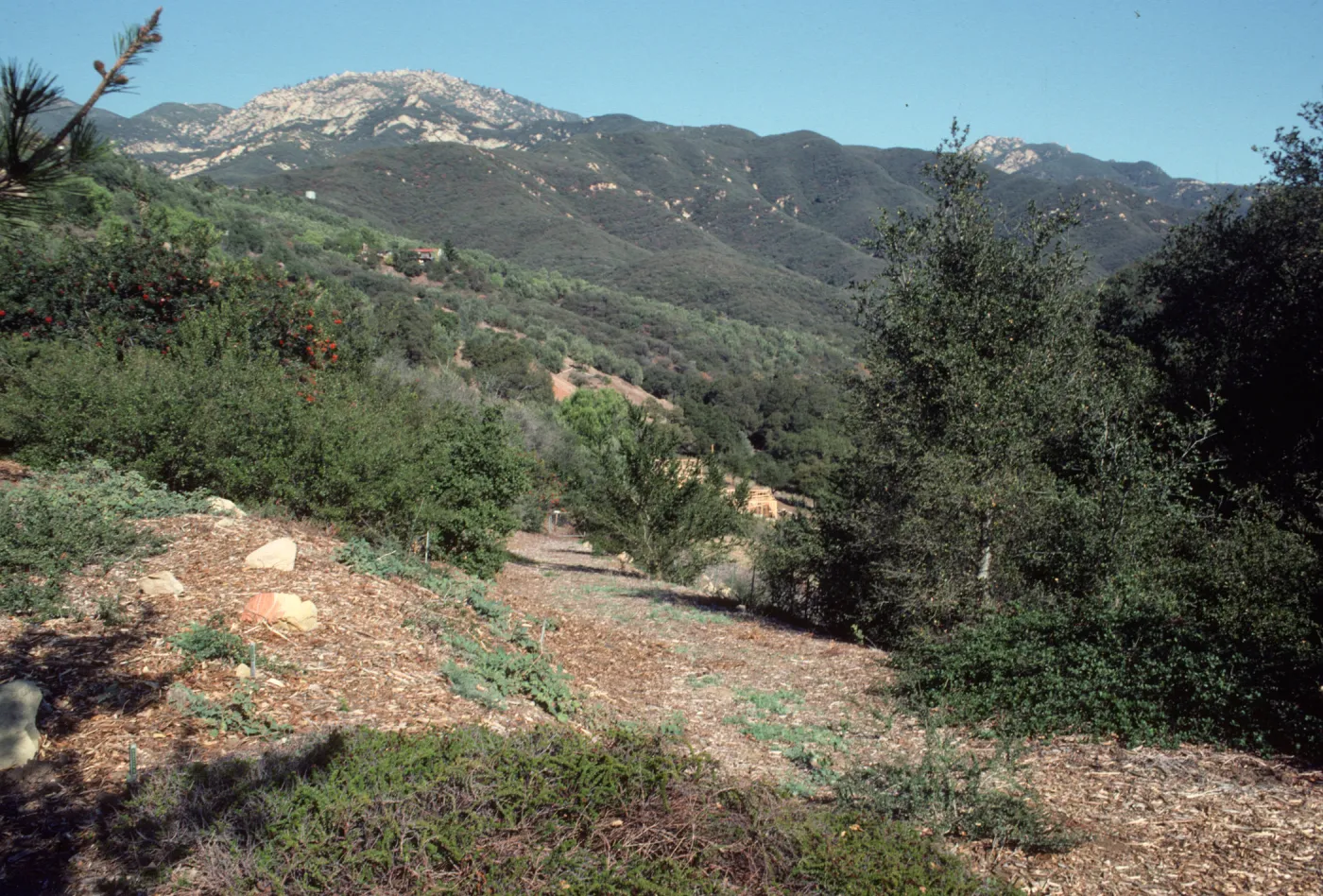 Porter Trail Looking Toward the Mountains