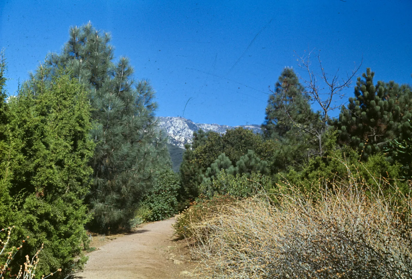 Porter Trail