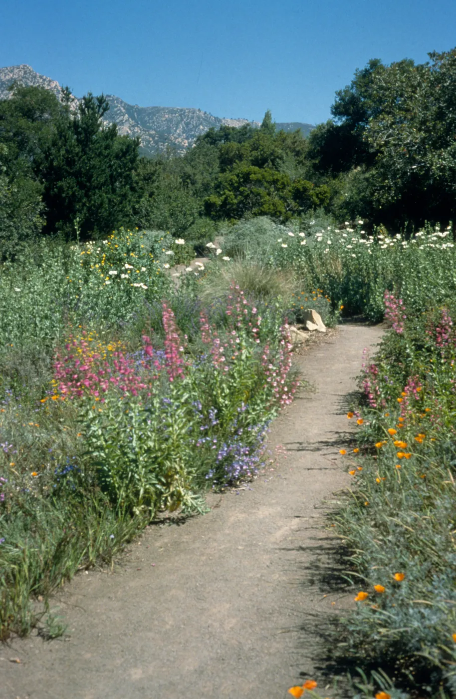 Porter Trail