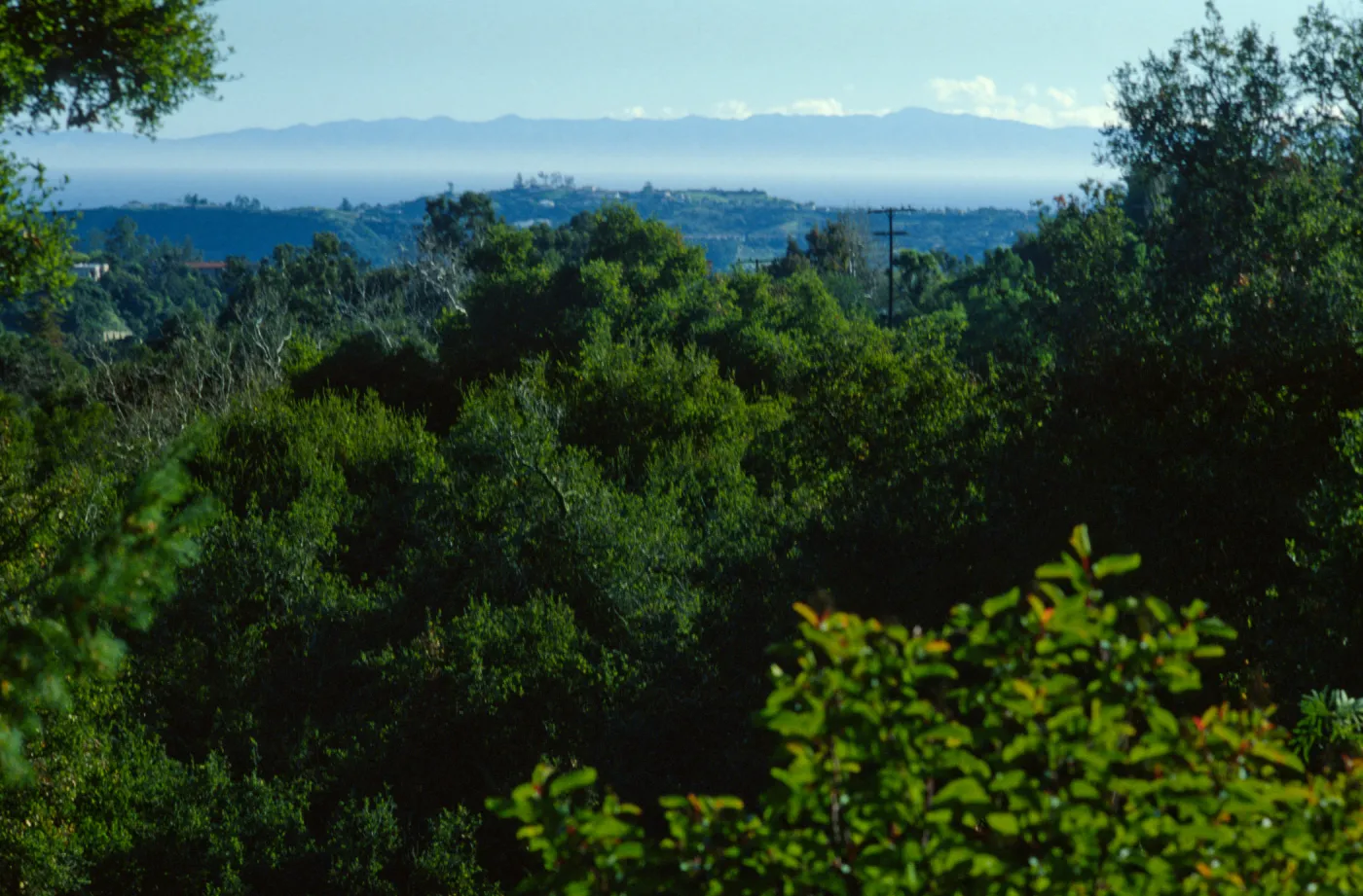 View of the Channel Islands from Porter Trail