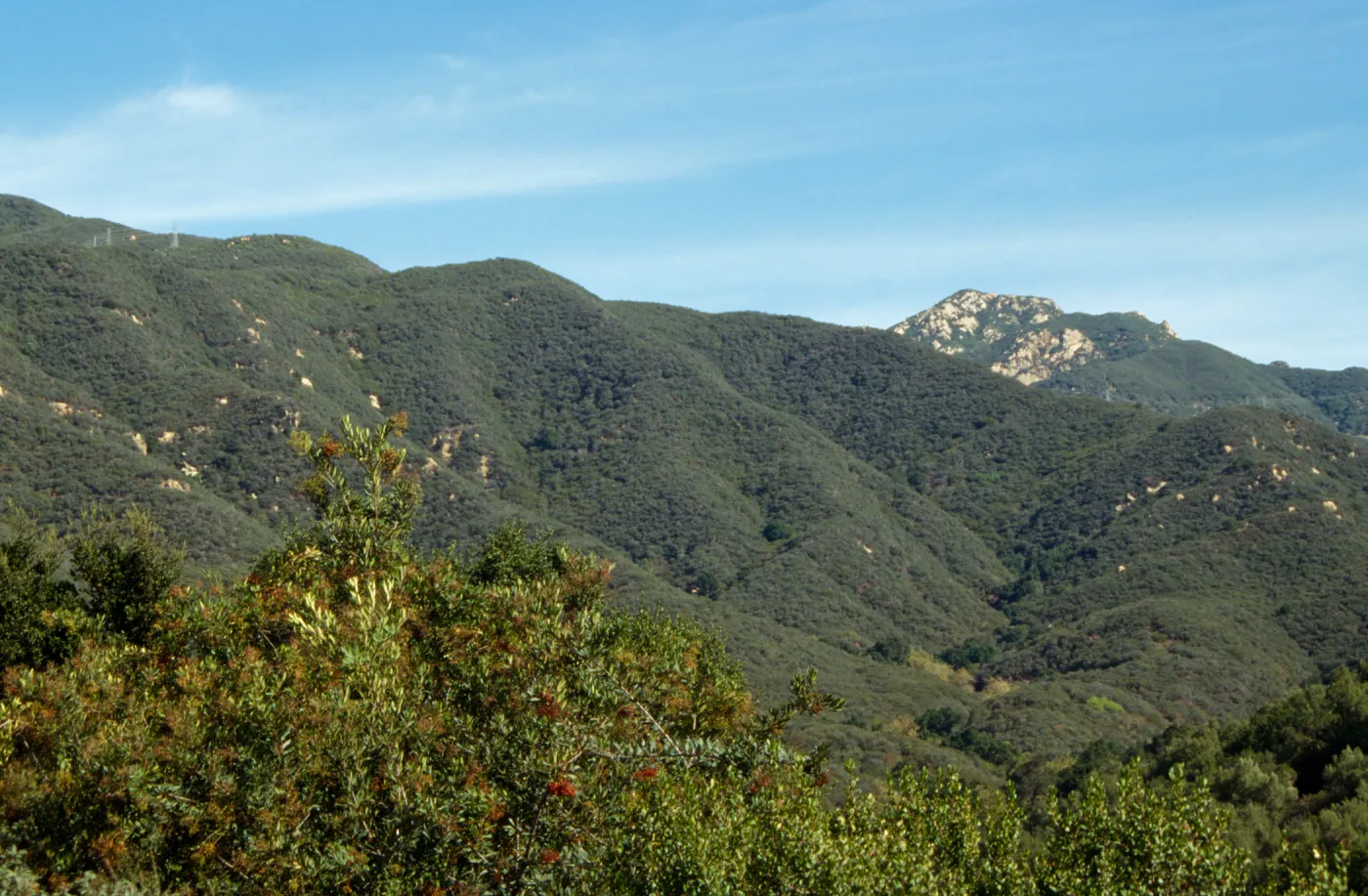 Santa Ynez Mountains from Porter Trail