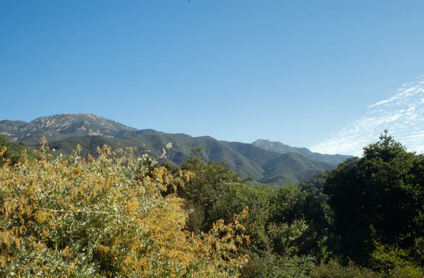 Porter Trail Looking Towards Mountains