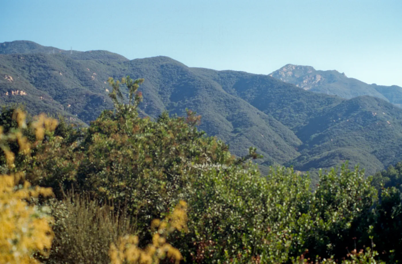 Santa Ynez Mountains from Porter Trail