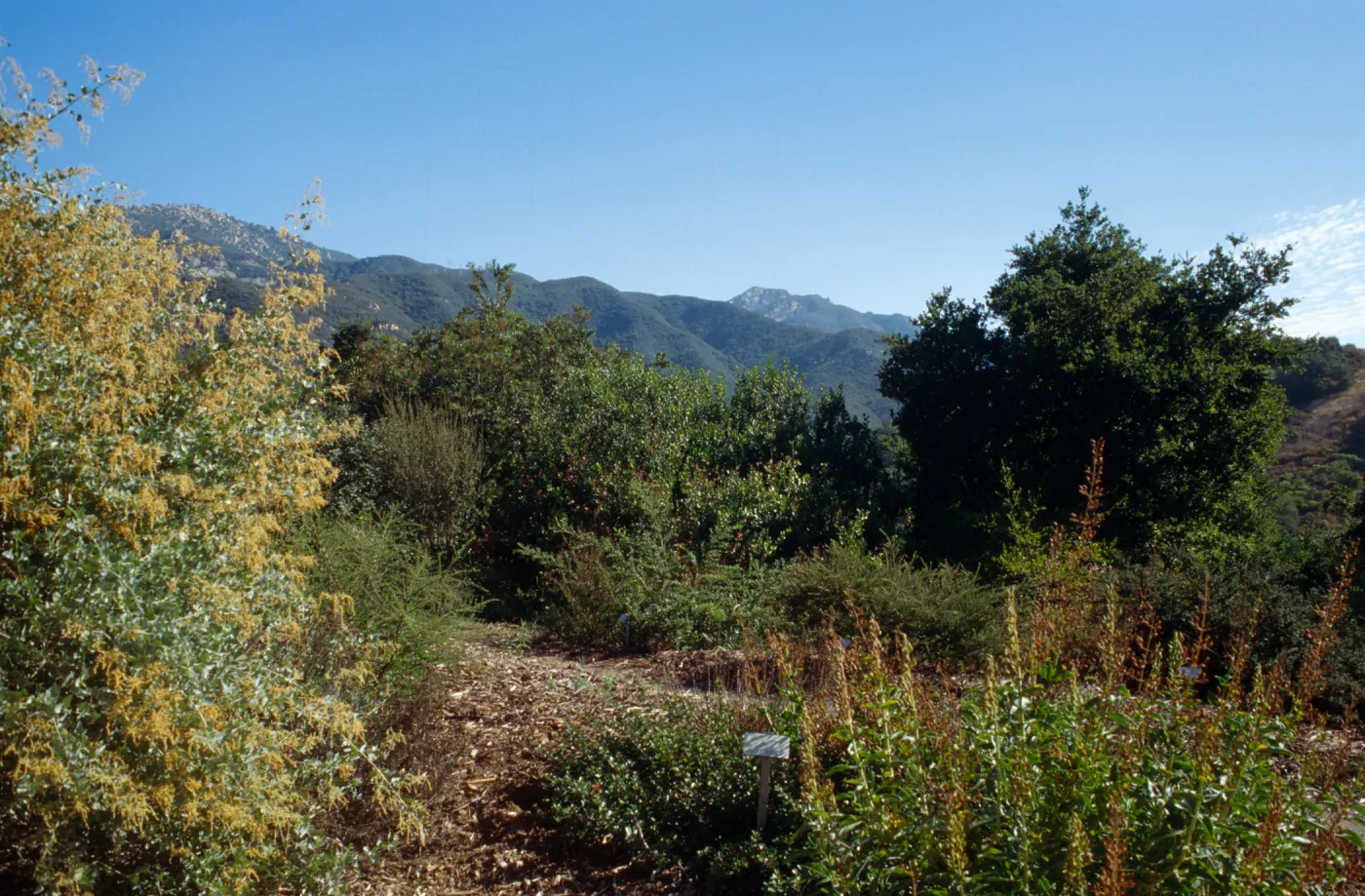 Porter Trail
