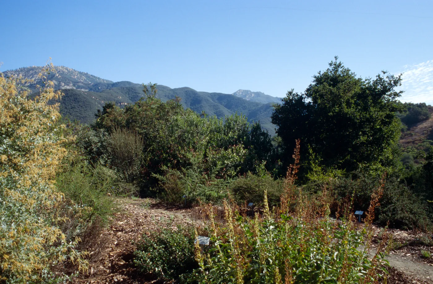Porter Trail